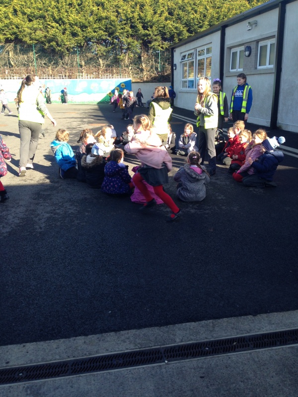 Duck, duck, goose!
