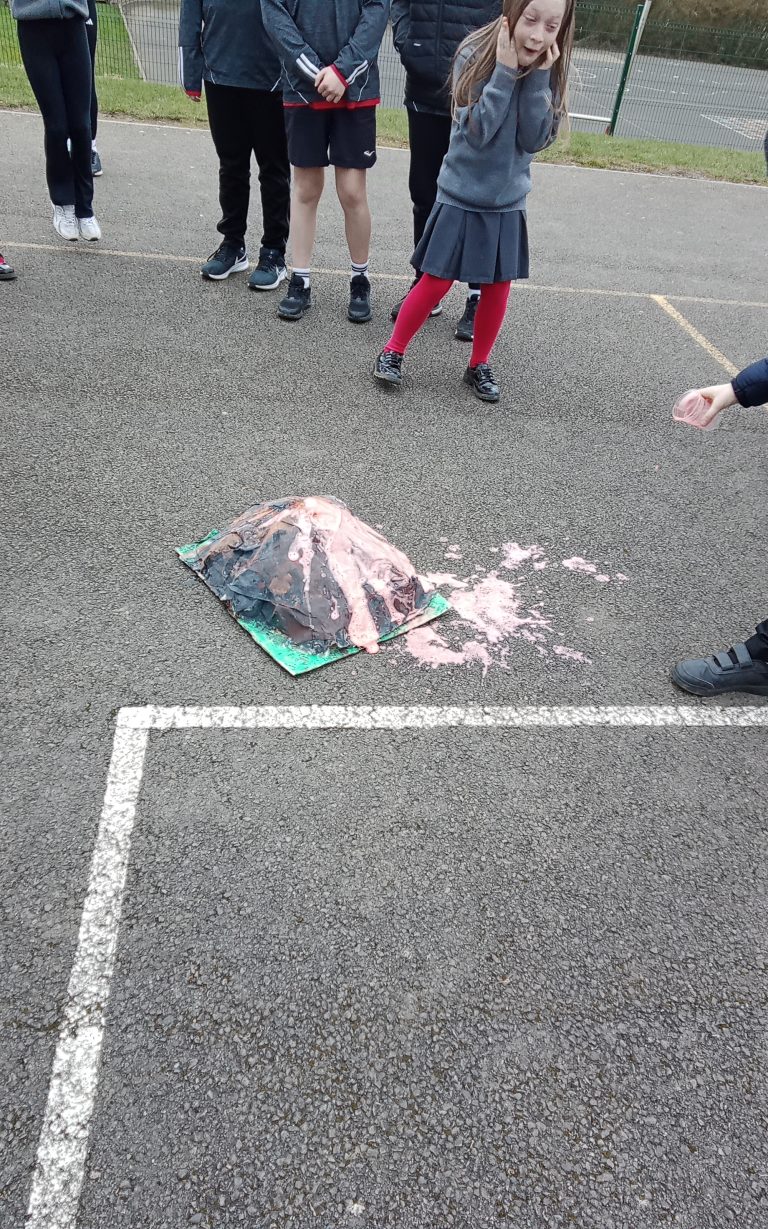 IMG_20260309_141325 - Copy